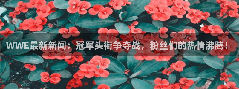 WWE最新新闻：冠军头衔争夺战，粉丝们的热情沸腾！