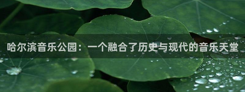 哈尔滨音乐公园：一个融合了历史与现代的音乐天堂