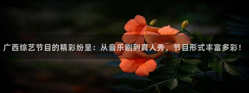 广西综艺节目的精彩纷呈：从音乐剧到真人秀，节目形式丰富多彩！