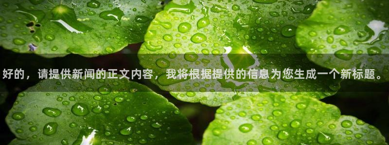 好的，请提供新闻的正文内容，我将根据提供的信息为您生成一个新标题。