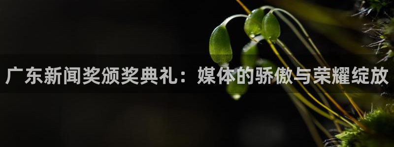 广东新闻奖颁奖典礼：媒体的骄傲与荣耀绽放