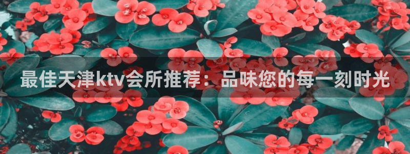 最佳天津ktv会所推荐：品味您的每一刻时光