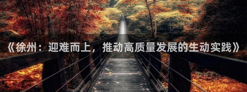 《徐州：迎难而上，推动高质量发展的生动实践》