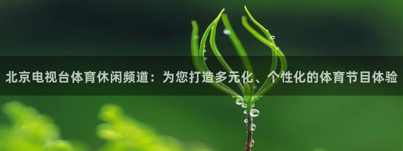 北京电视台体育休闲频道：为您打造多元化、个性化的体育节目体验