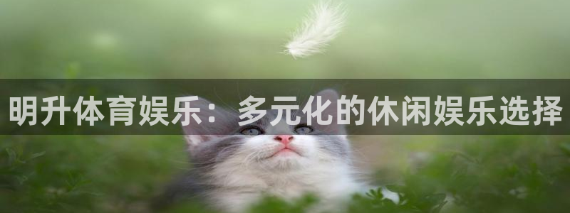 明升体育娱乐：多元化的休闲娱乐选择