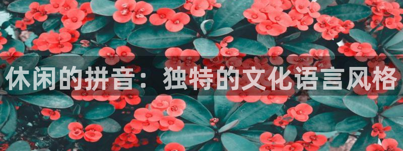 休闲的拼音：独特的文化语言风格