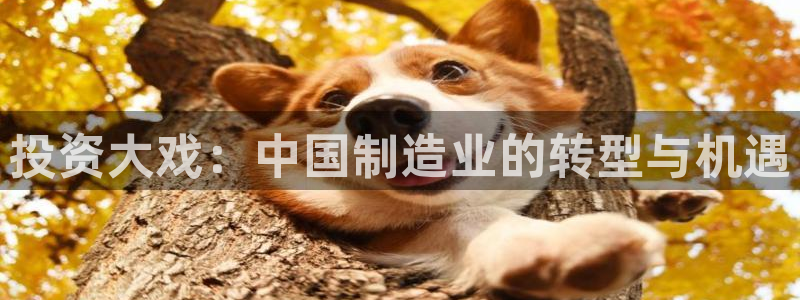 投资大戏：中国制造业的转型与机遇