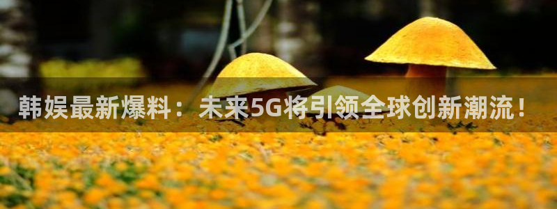 韩娱最新爆料：未来5G将引领全球创新潮流！
