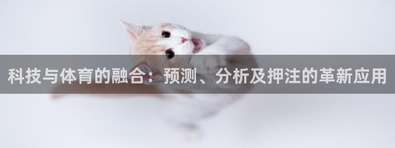 科技与体育的融合：预测、分析及押注的革新应用