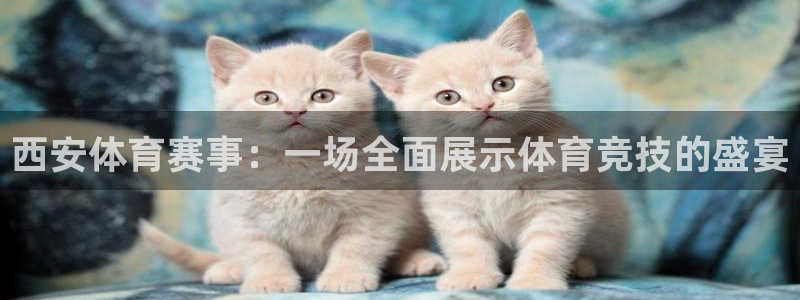 西安体育赛事：一场全面展示体育竞技的盛宴