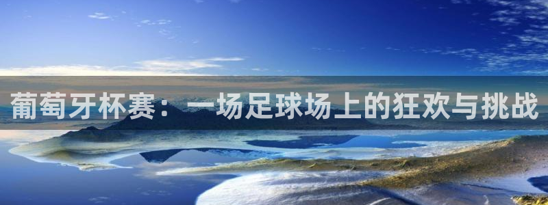 葡萄牙杯赛：一场足球场上的狂欢与挑战