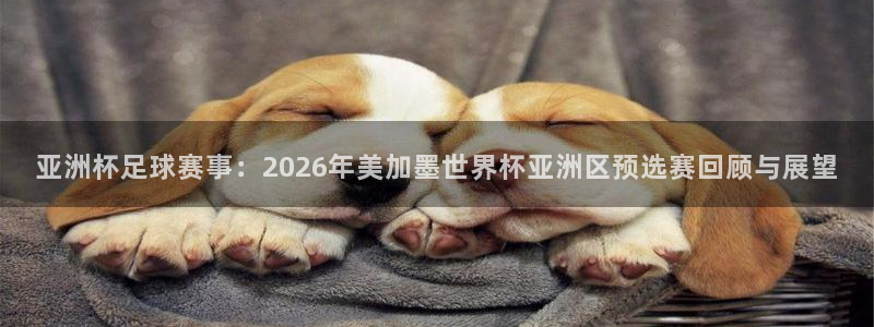 亚洲杯足球赛事：2026年美加墨世界杯亚洲区预选赛回顾与展望