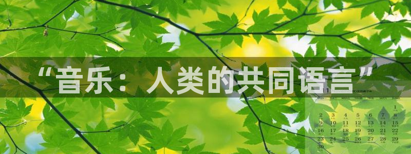 “音乐：人类的共同语言”