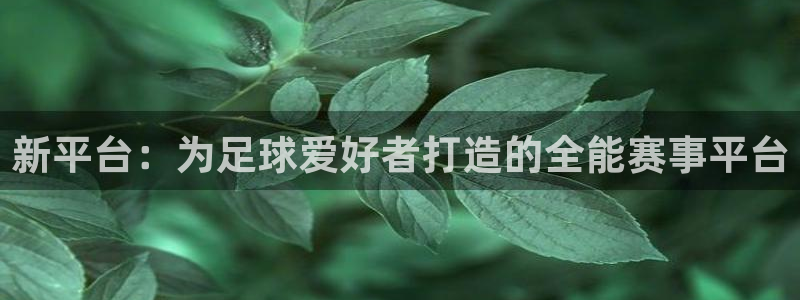 新平台：为足球爱好者打造的全能赛事平台