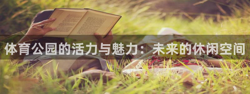 体育公园的活力与魅力：未来的休闲空间
