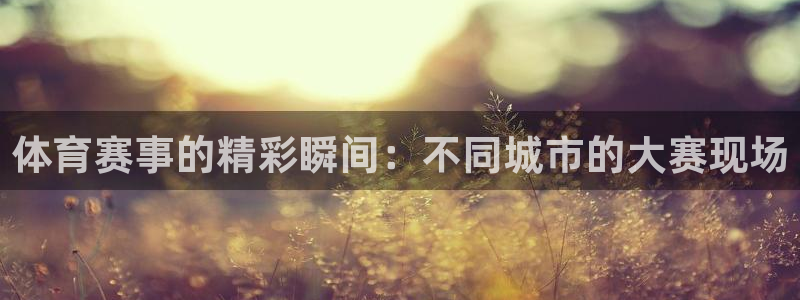 体育赛事的精彩瞬间：不同城市的大赛现场
