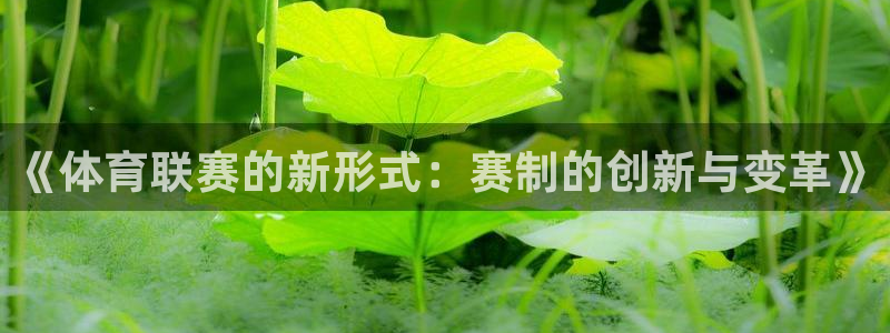 《体育联赛的新形式：赛制的创新与变革》