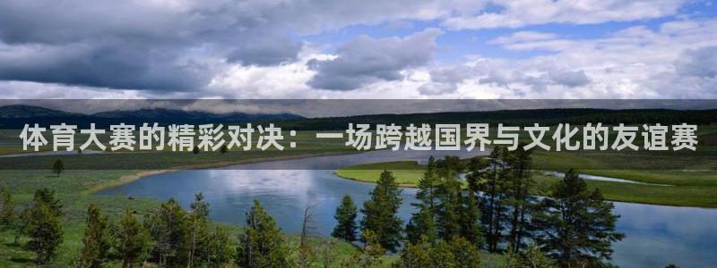 体育大赛的精彩对决：一场跨越国界与文化的友谊赛