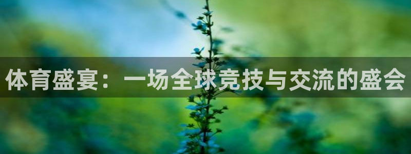 体育盛宴：一场全球竞技与交流的盛会